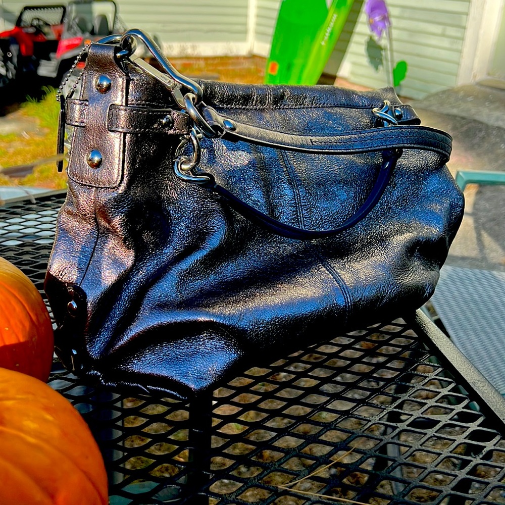 Metallic Coach purse